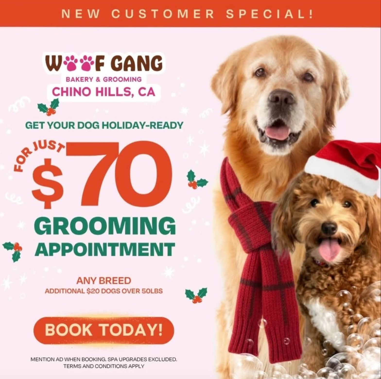 $70 Grooming Appointment New Customer Special at Woof Gang
