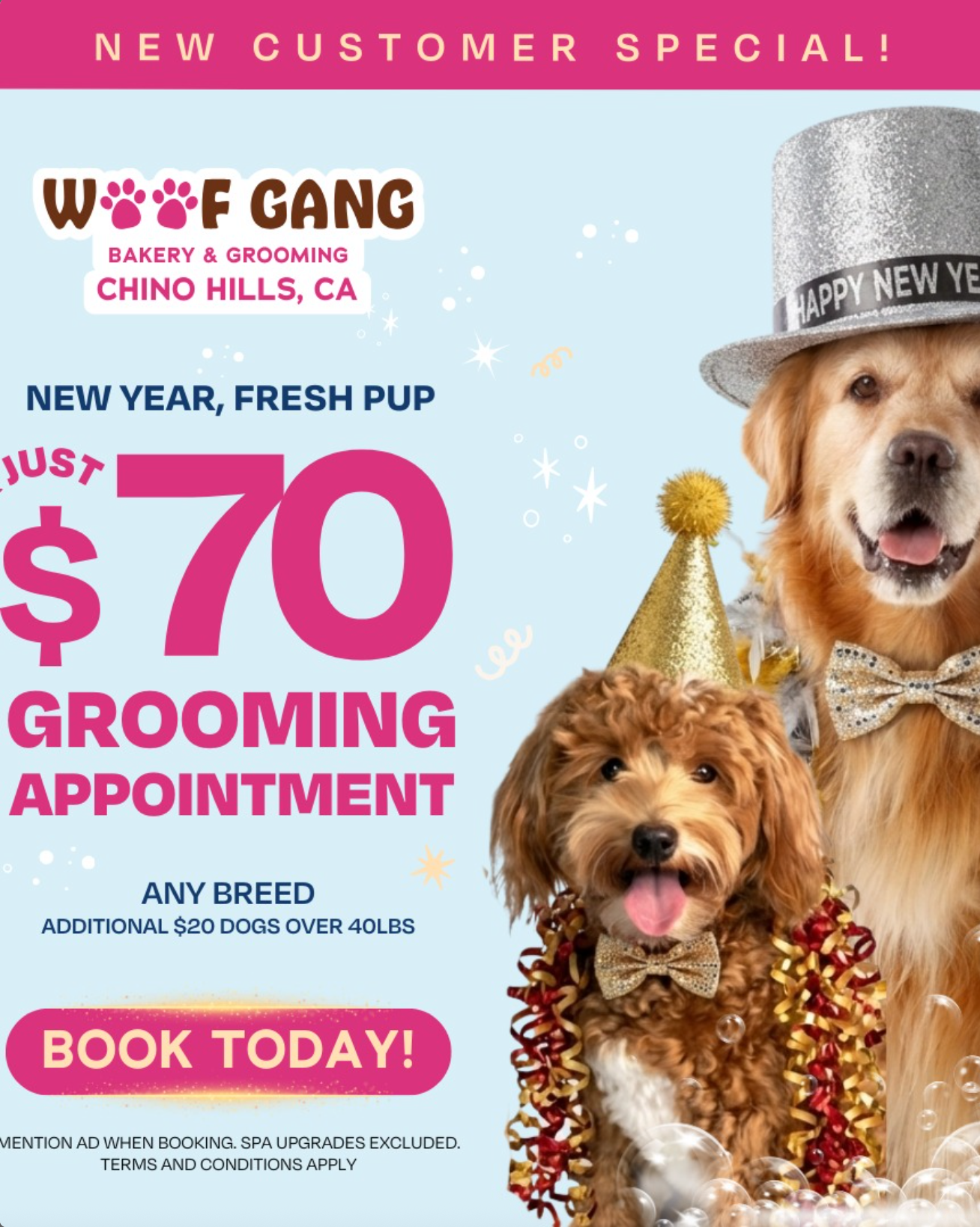 $70 Appt New Customer Special at Woof Gang Bakery & Grooming