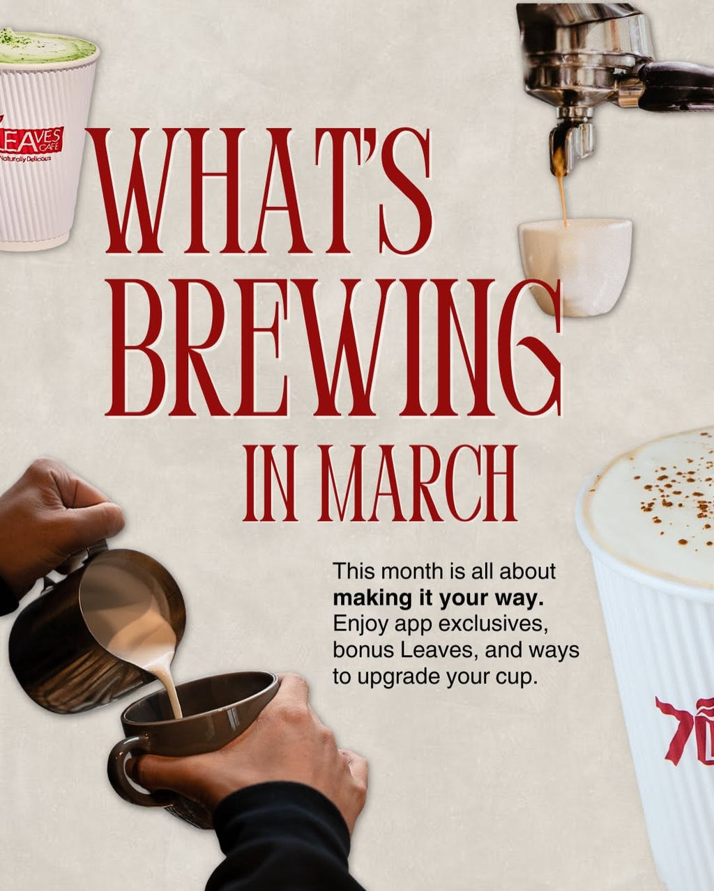 March Promos at 7 Leaves Cafe
